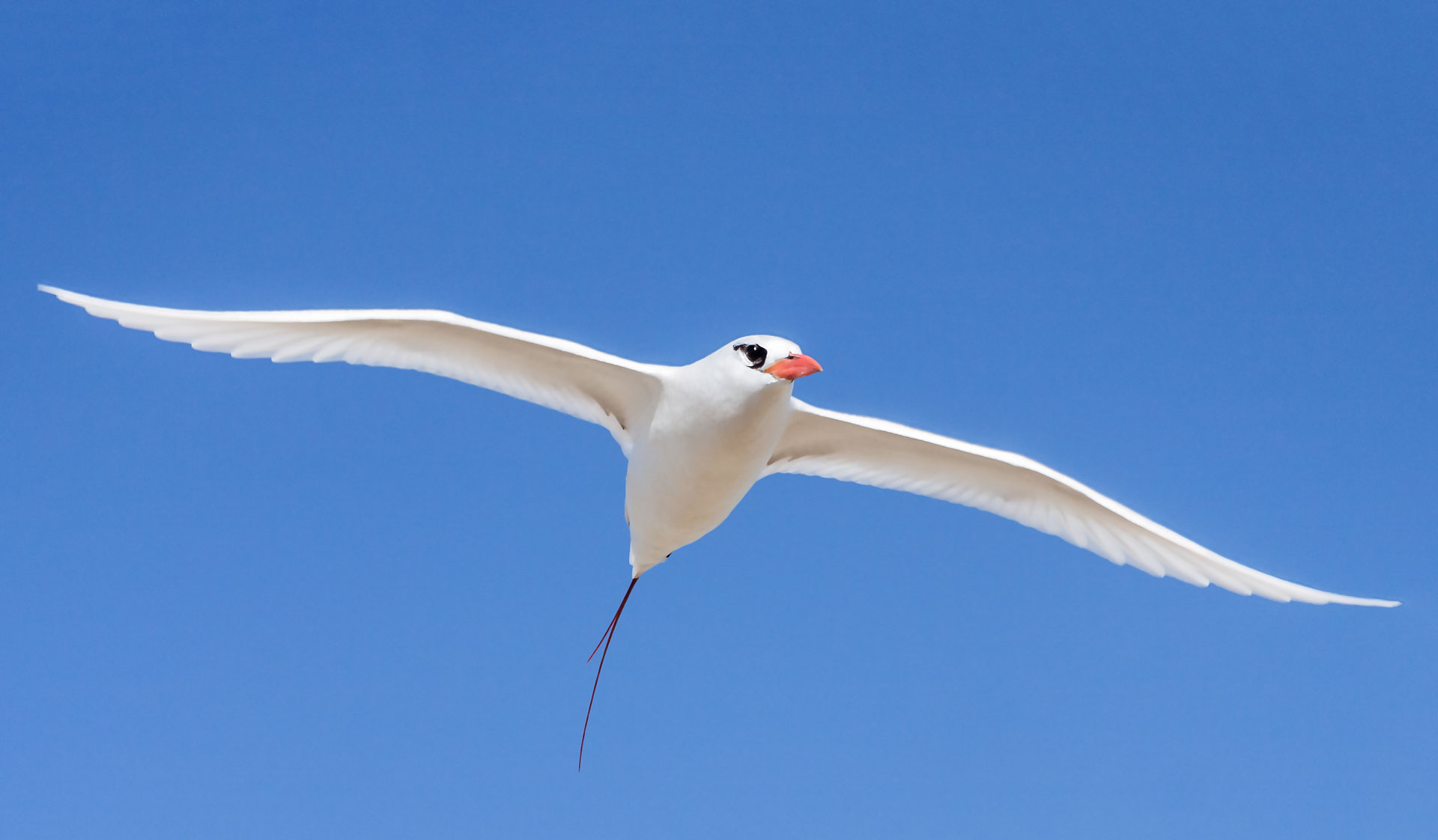 About us Hazotsara Tour Madagascar